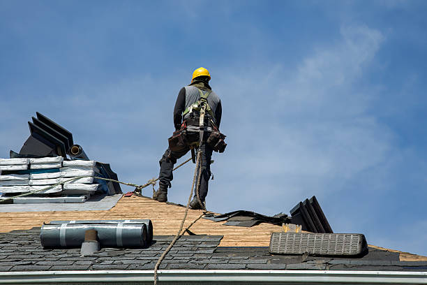 Professional Roof Replacement technician working in Brodnax, VA
